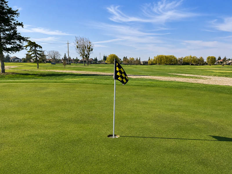 Black-and-yellow checkered flag on a manicured golf green overlooking a wide open fairway.