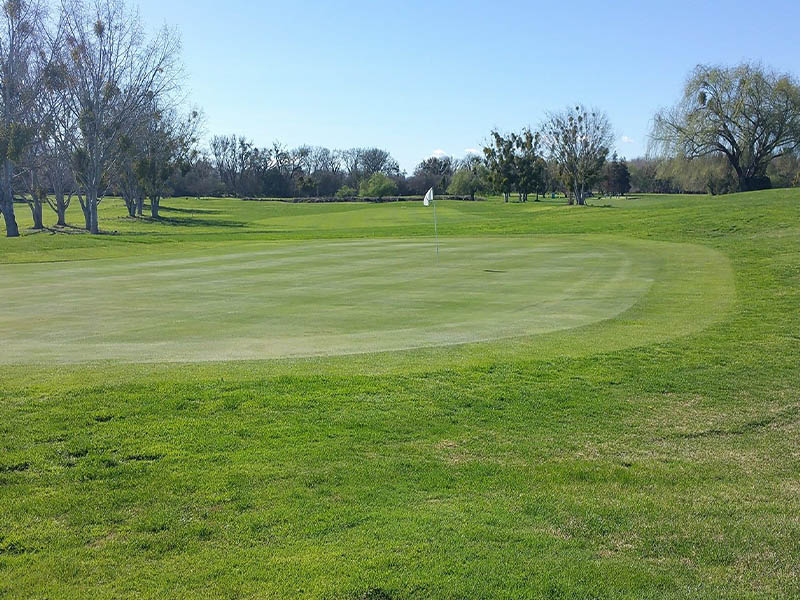 Wide golf putting green with a white flag surrounded by rolling fairways and mature trees.